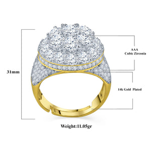 ANGELIC 925 SILVER RING  |9211402]