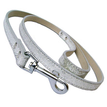 Load image into Gallery viewer, Disco Fever Dog Leads - Medium