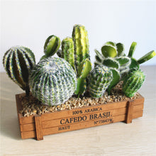 Load image into Gallery viewer, Excellent Products Artificial Succulent Plant Cactus
