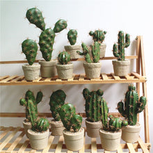 Load image into Gallery viewer, Excellent Products Artificial Succulent Plant Cactus