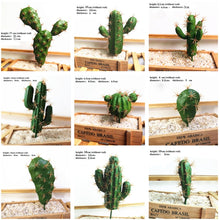 Load image into Gallery viewer, Excellent Products Artificial Succulent Plant Cactus