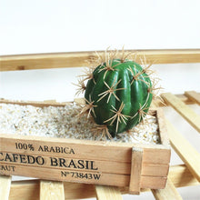 Load image into Gallery viewer, Excellent Products Artificial Succulent Plant Cactus